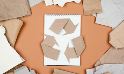 Переработка картонной упаковки: как происходит утилизация картона